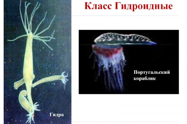 Kraken ссылка зеркало krakentor site