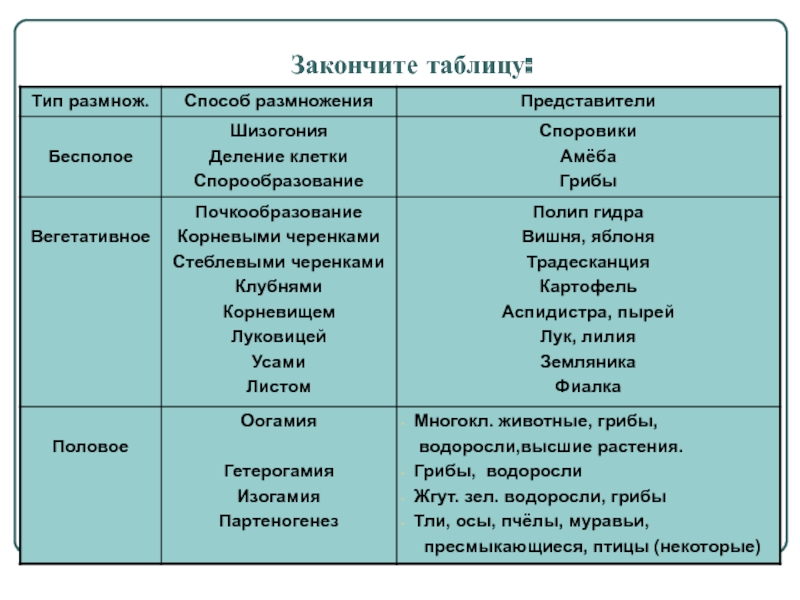 Почему сегодня не работает площадка кракен